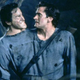 Illustration for article titled Sam Raimi is reteaming with the guy who remade iEvil Dead/i